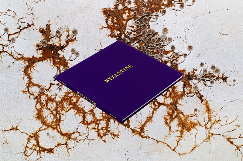 synchrodogs : start